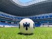 Imagen de BALON MONTERREY ACADEMY T5