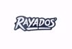 Imagen de USB RAYADOS 16 GB